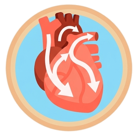 增加冠狀動脈血流