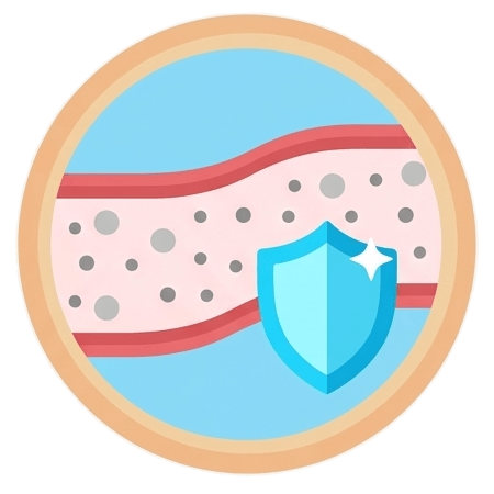 改善血管內皮功能